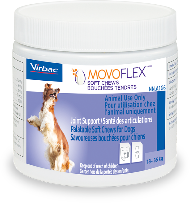 Virbac movoflex deals